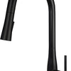 Deante LUKRECJA Spültischarmatur mit ausziehbarer Brause (2 Strahlarten) Schwarz