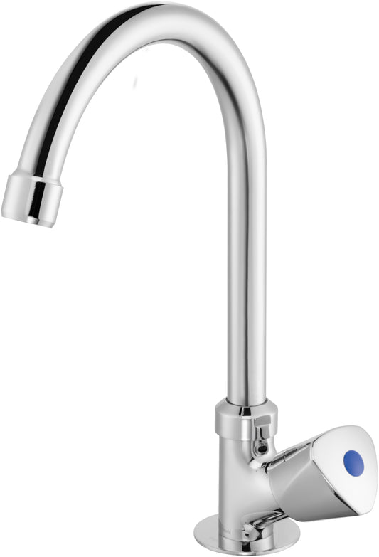 Deante Küchenarmatur 1-Wege Kaltwasserarmatur Wasserhahn Standventil Chrom