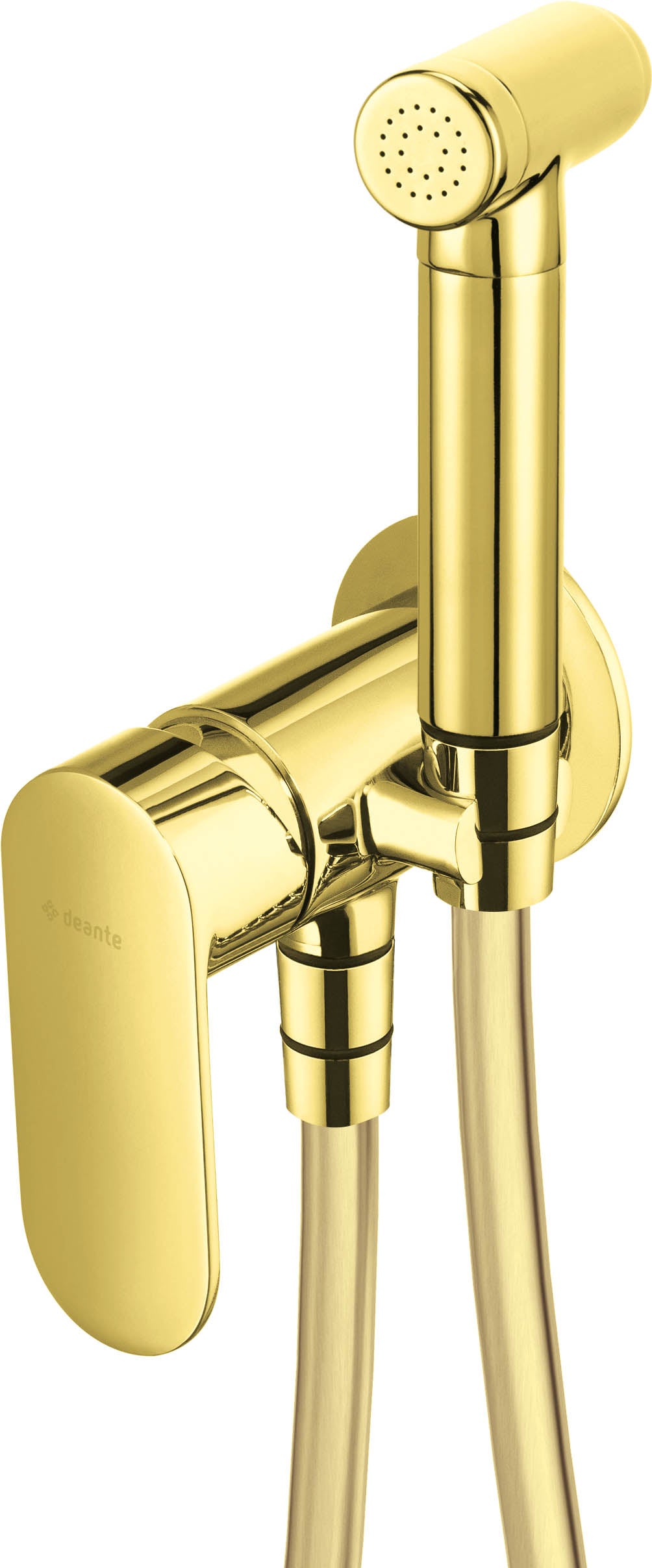 Deante ALPINIA Bidetarmatur Handbrause-Set wassersparend Gold