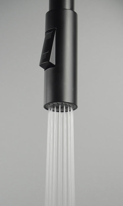 Deante LUNO Auslauf für Küchenarmatur mit Regenstrahl Schwarz