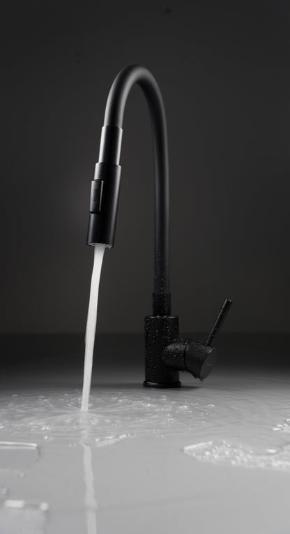 Deante LUNO Küchenarmatur ausziehbar mit Brause (2 Strahlarten) Schwarz / Schwarz