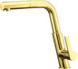 Deante SILIA Design-Küchenarmatur mit ausziehbarer Handbrause Gold