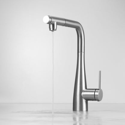 Deante ERIDAN Küchenarmatur mit Wasserfilteranschluss ausziehbar mit Brause Stahl gebürstet