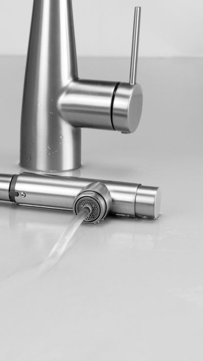 Deante ERIDAN Küchenarmatur mit Wasserfilteranschluss ausziehbar mit Brause Stahl gebürstet