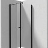 Deante KERRIA PLUS Eckdusche mit breiter Drehtür 90 x 90 x 200 cm Schwarz