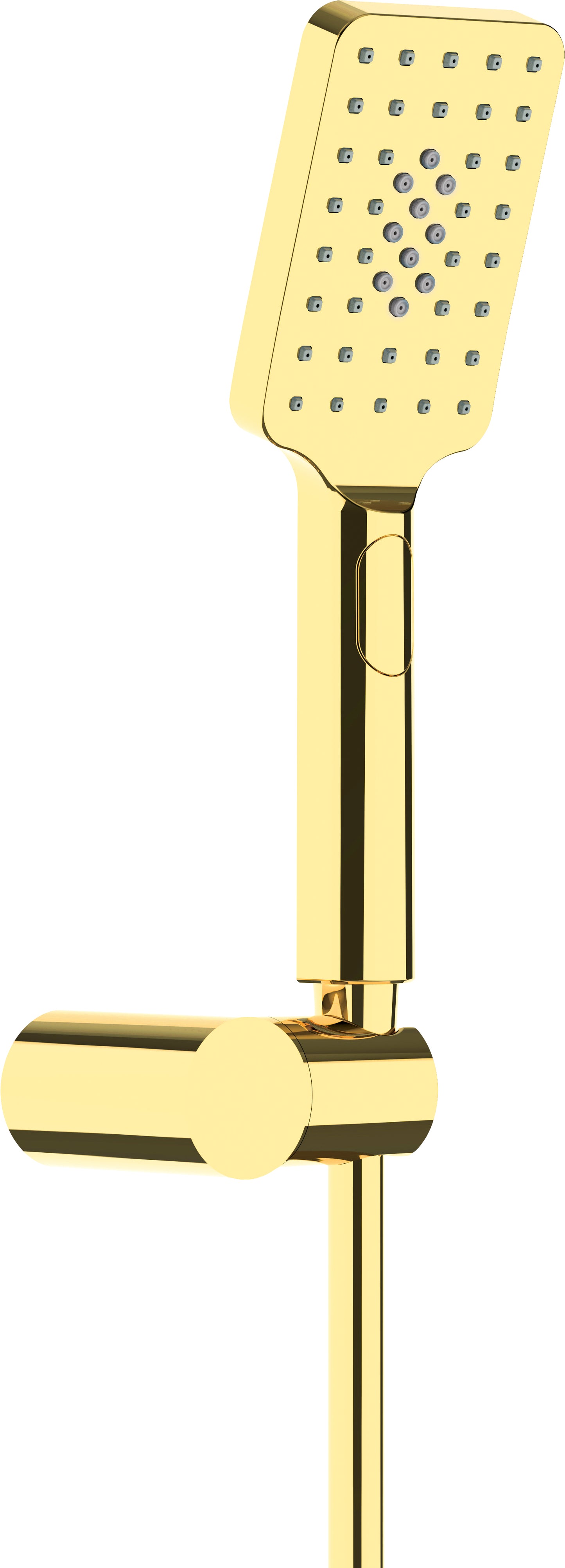 Deante ALPINIA Brausekopf mit Halterung Anti-Kalk (3 Strahlarten) Gold