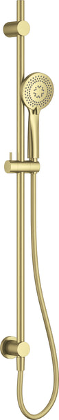 Deante ALPINIA Duschbrause-Set (3 Strahlarten) Unterputz Gold gebürstet