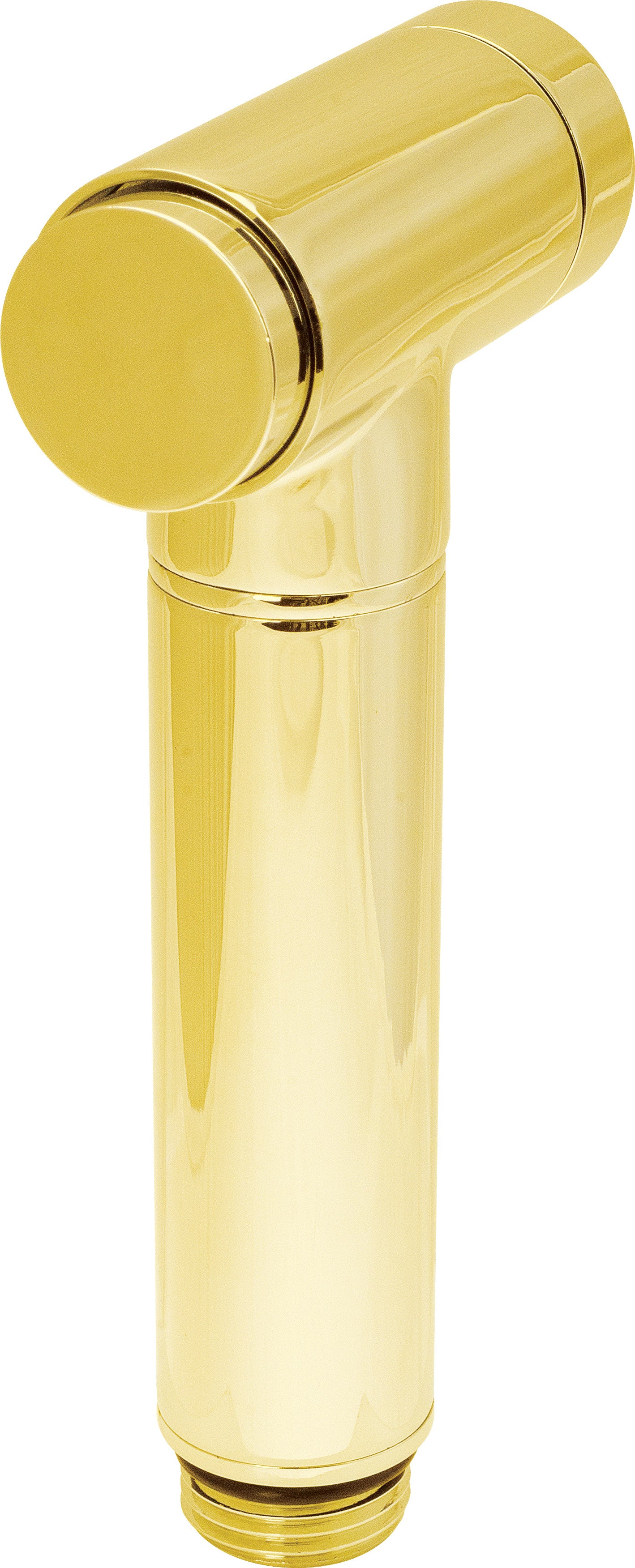 Deante BIDETTA Handbrause für Bidetarmatur & Waschbecken Gold